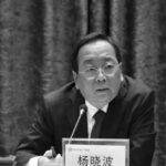 黄石市市长杨晓波据称在参加省两会期间被传染肺炎