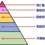 武汉肺炎已导致湖北省死亡72万，这个结果是和佛系抗疫的钻石公主号邮轮的死亡率是一致的。