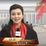 新华社电视台记者李丹