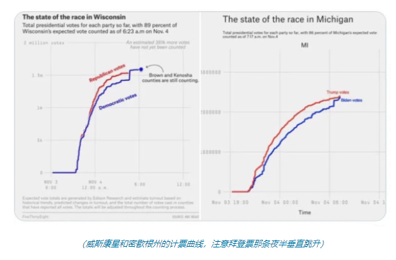 美国大选公开舞弊