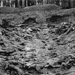 揭秘卡廷惨案真相:俄罗斯斯大林批准屠杀两万多波兰人