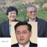 秦刚父亲是李铁映母亲秦新华乃博古李维汉后代