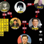 秦刚为什么反习？李铁映家族和邓家交好，李铁映秘书李鸿忠去向不明，估计和火箭军政变有关