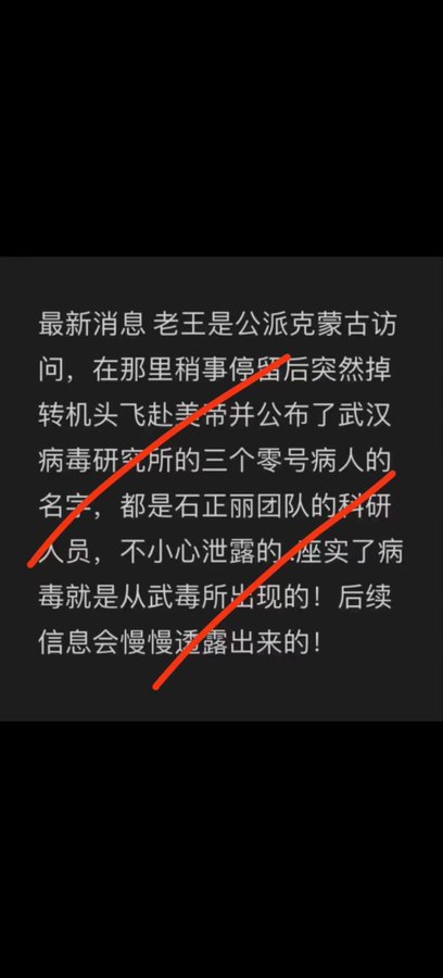 王岐山出走美国途径曝光，武汉病毒的三个零号病人由王透露；习近平气的吐血