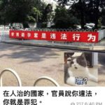 中共官员：使用避孕套是违法行为