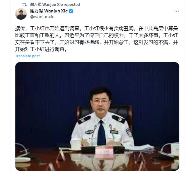 王小洪被调查