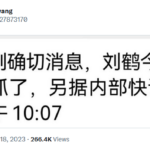 前副总理刘鹤被抓，最大可能是习近平怀疑他是美国间谍