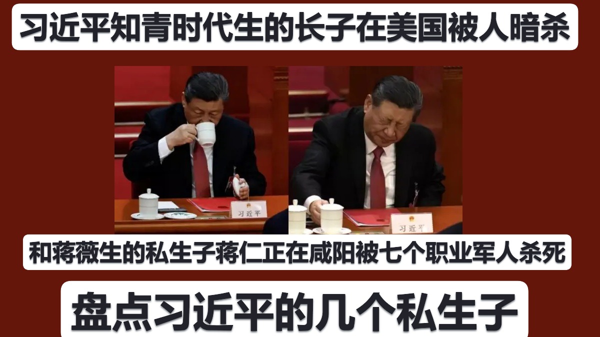 习近平知青时代生的长子在美国被人暗杀，在福建和蒋薇生的私生子蒋仁正也在咸阳被七个职业军人杀死，盘点习近平的六个私生子