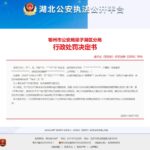 因上twitter，湖北网友被罚款200元