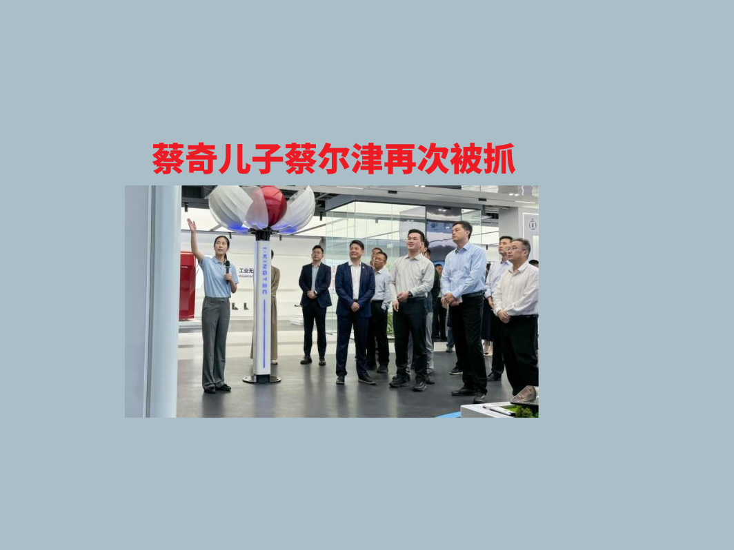 蔡奇儿子蔡尔津再次被抓，这次没再放出来