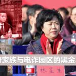 蔡奇家族与电诈园区的黑金真相