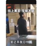 大骂习近平彭丽媛, 中国人对习近平的愤怒已经超出人类底线