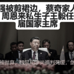 李强被剪裙边，蔡奇家人被抓、王毅下一届国家主席！ 魏风和李尚福判死缓，剑指张又侠！