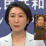 外交部发言人毛宁是毛泽东私生女，将接任周恩来私生子王毅的外交部部长职务