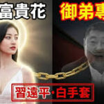 景甜是远亲王习远平的女人，习捧景甜和捧张澜澜一个路数又都是陕西人