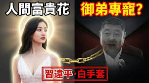 景甜是远亲王习远平的女人,习捧景甜和捧张澜澜一个路数又都是陕西人 景甜是远亲王习远平的女人,习捧景甜和捧张澜澜一个路数又都是陕西人