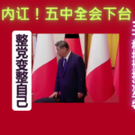 五中全会习近平将被迫公开辞职？整党变整自己，中纪委清算习近平家族，三大根据地连环失守。301医院暗网病历和没有第四任同时爆出，谁在逼宫？