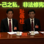 栗战书女儿栗潜心离婚再嫁习近平嫡子柯利明谋夺其姑齐桥桥家产